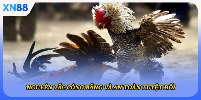 Nguyên tắc công bằng và an toàn tuyệt đối